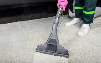 Hidden Dangers of Ignoring Professional Carpet Cleaners in Allen Texas